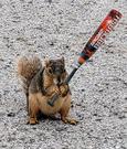League Mascot